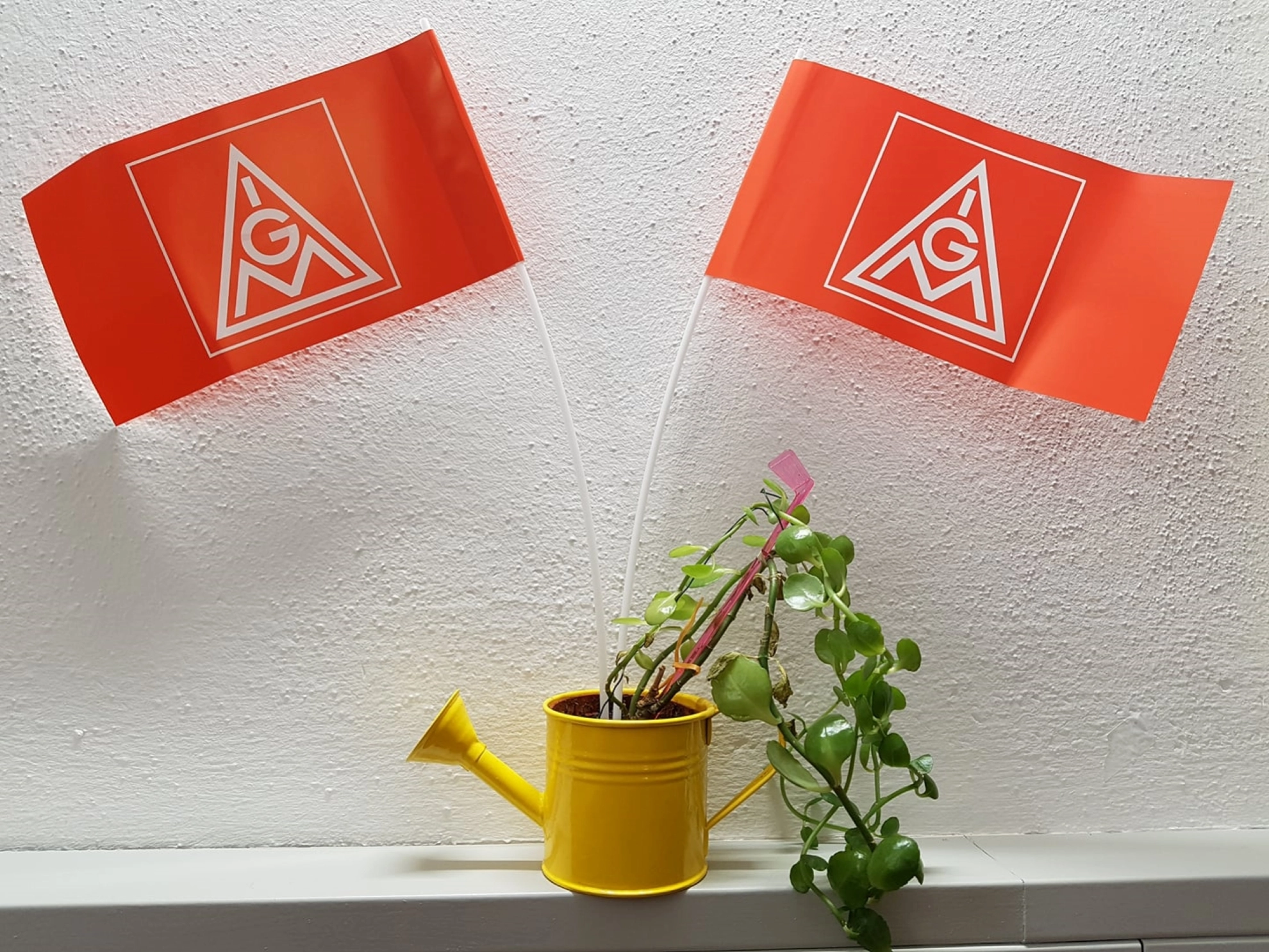 Gießkannenblumentopf mit IG Metall fähnchen