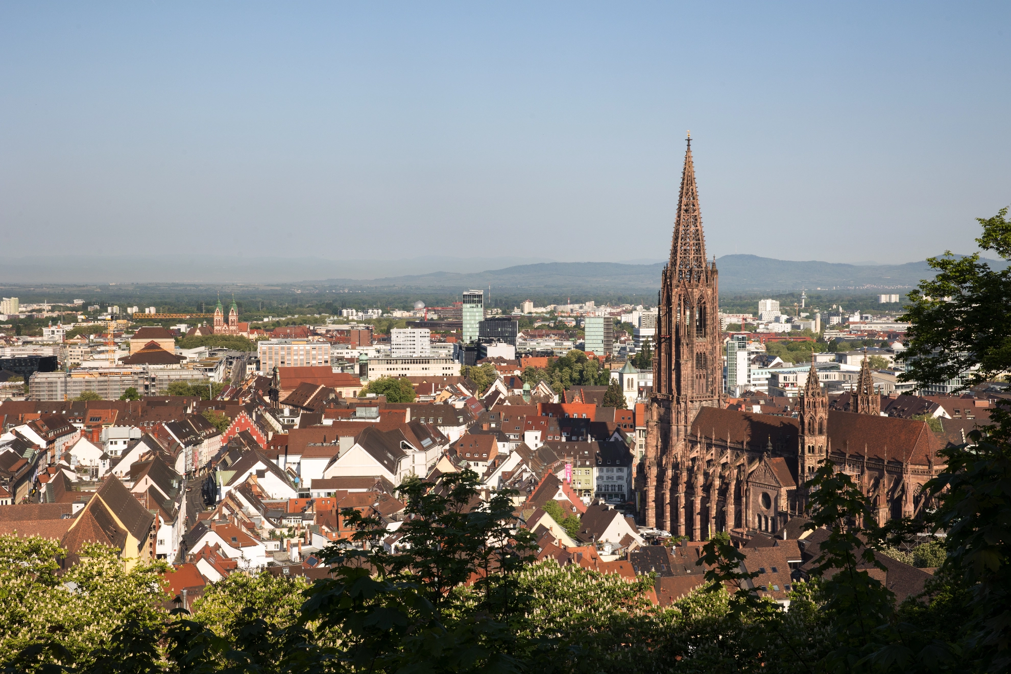 Freiburg.jpg